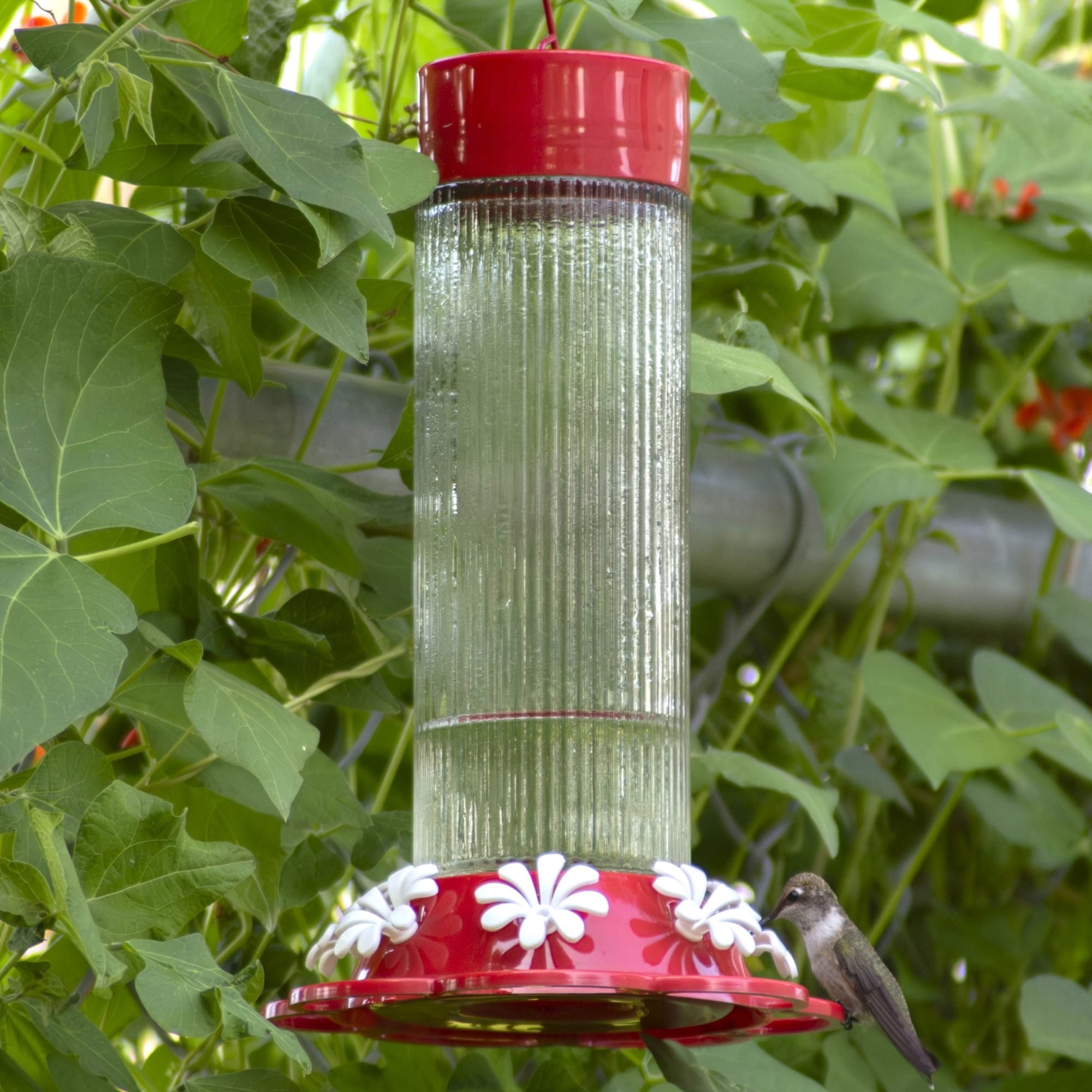 Nature's Way TGF5-IP Bird-Feeders - View #2