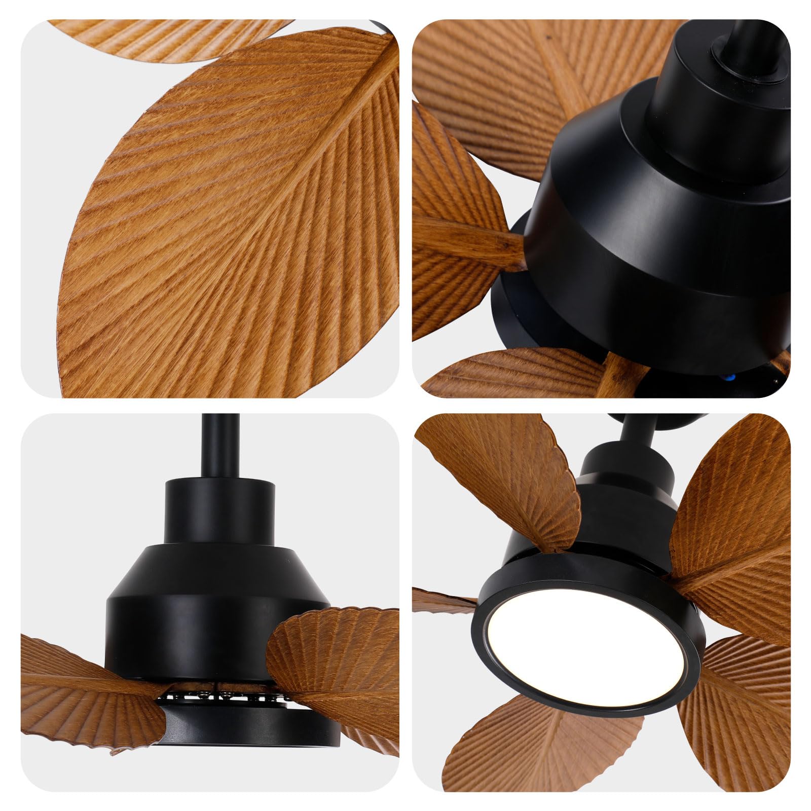 TALOYA TLY-B1-BK-D30 Ceiling-Fans - View #5