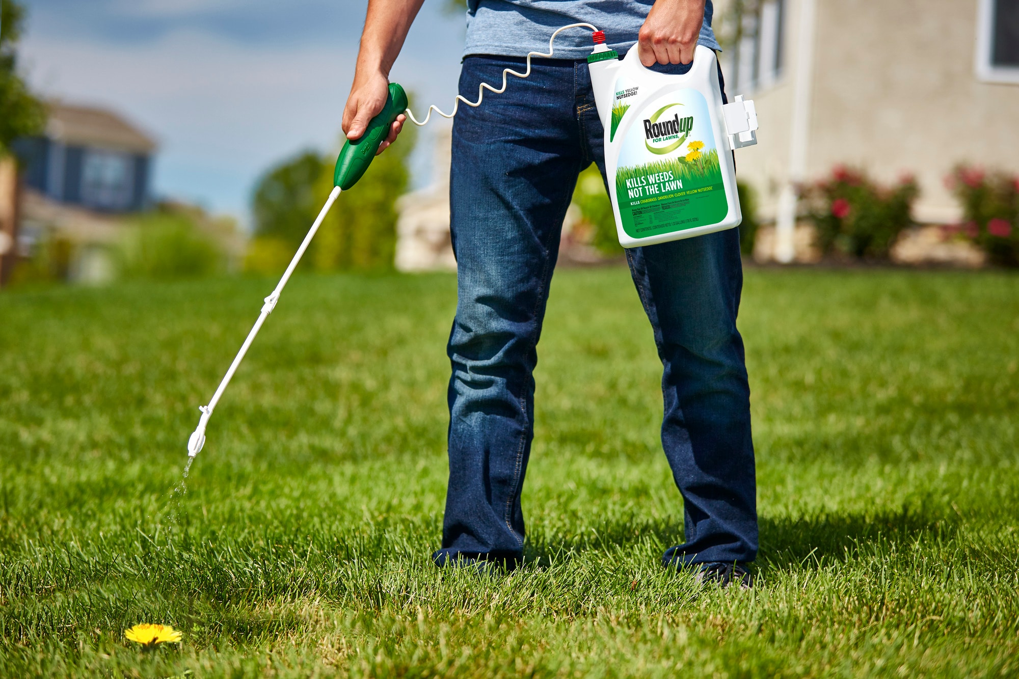 Roundup VB02163 Weed-Killers - View #6