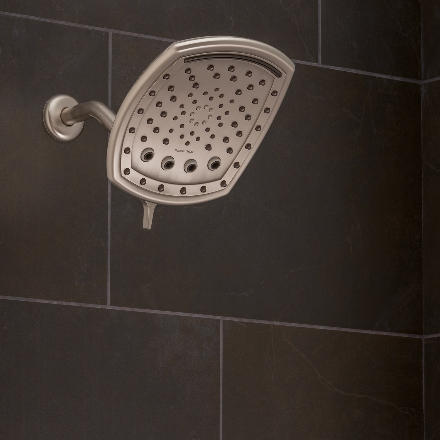 Oxygenics 90488 Fixed-Showerhead - View #3