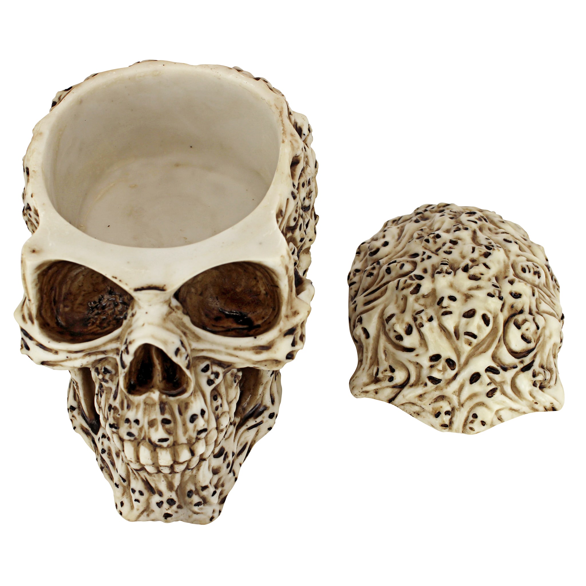 Don Bowl - Skull – Reverse Hookah