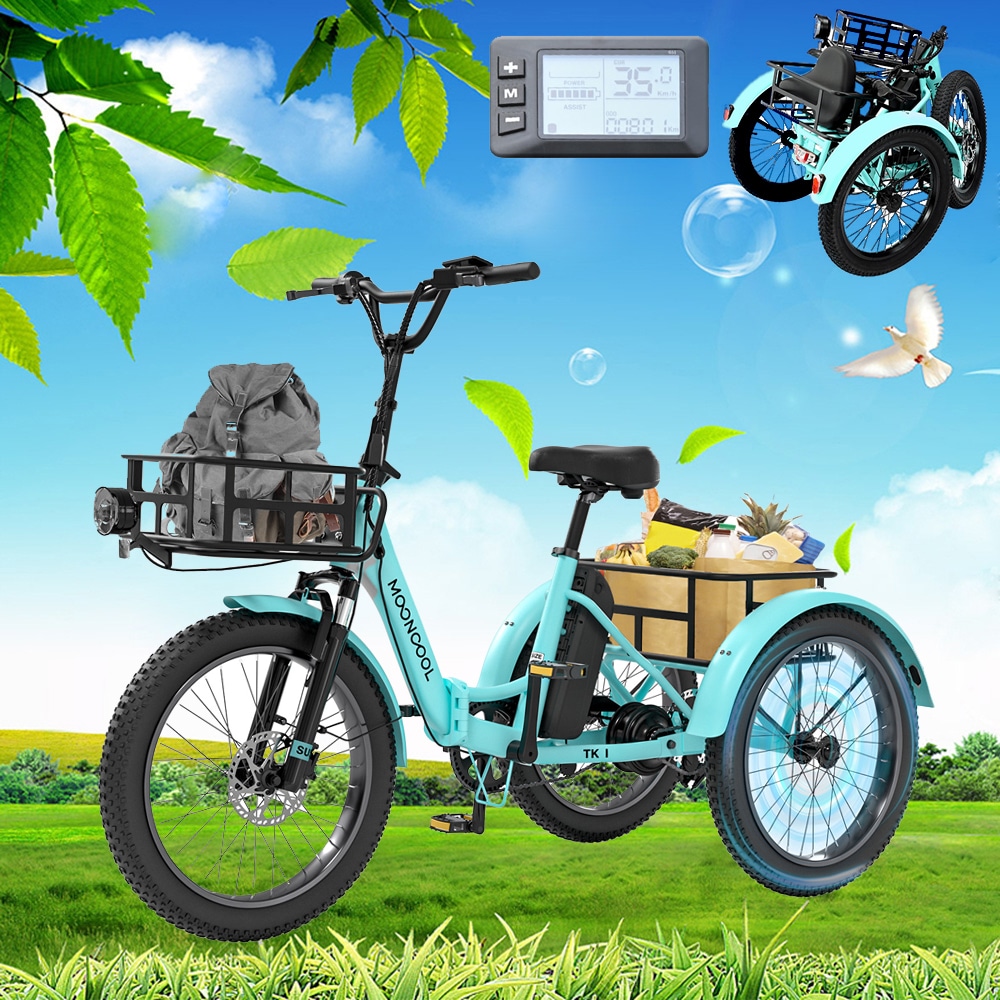 Esazn P1600161-TK120432BL 20-in Adult unisex E-bike