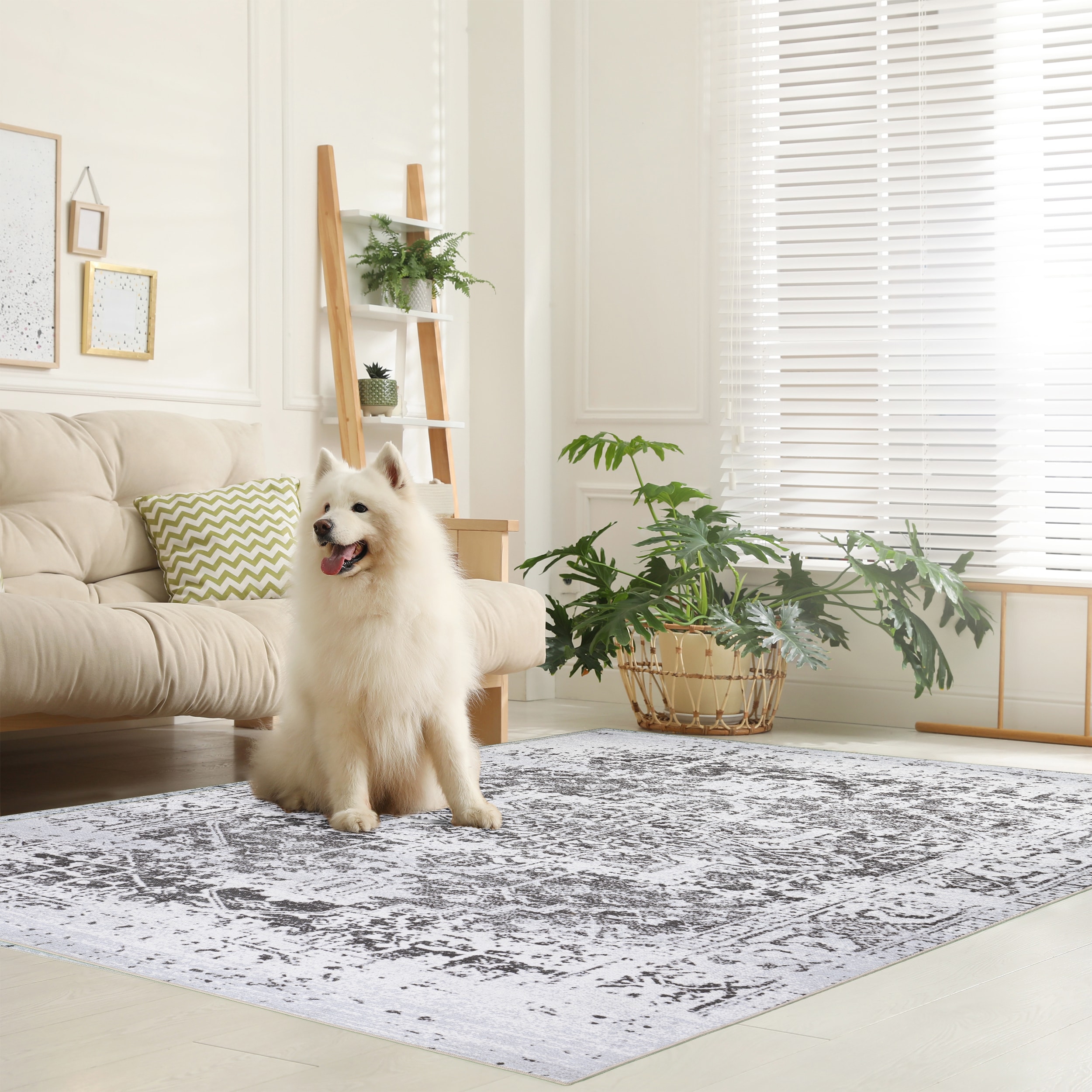 Playa Rug PLY-HMY-BRWN-4X6 rugs - View #6