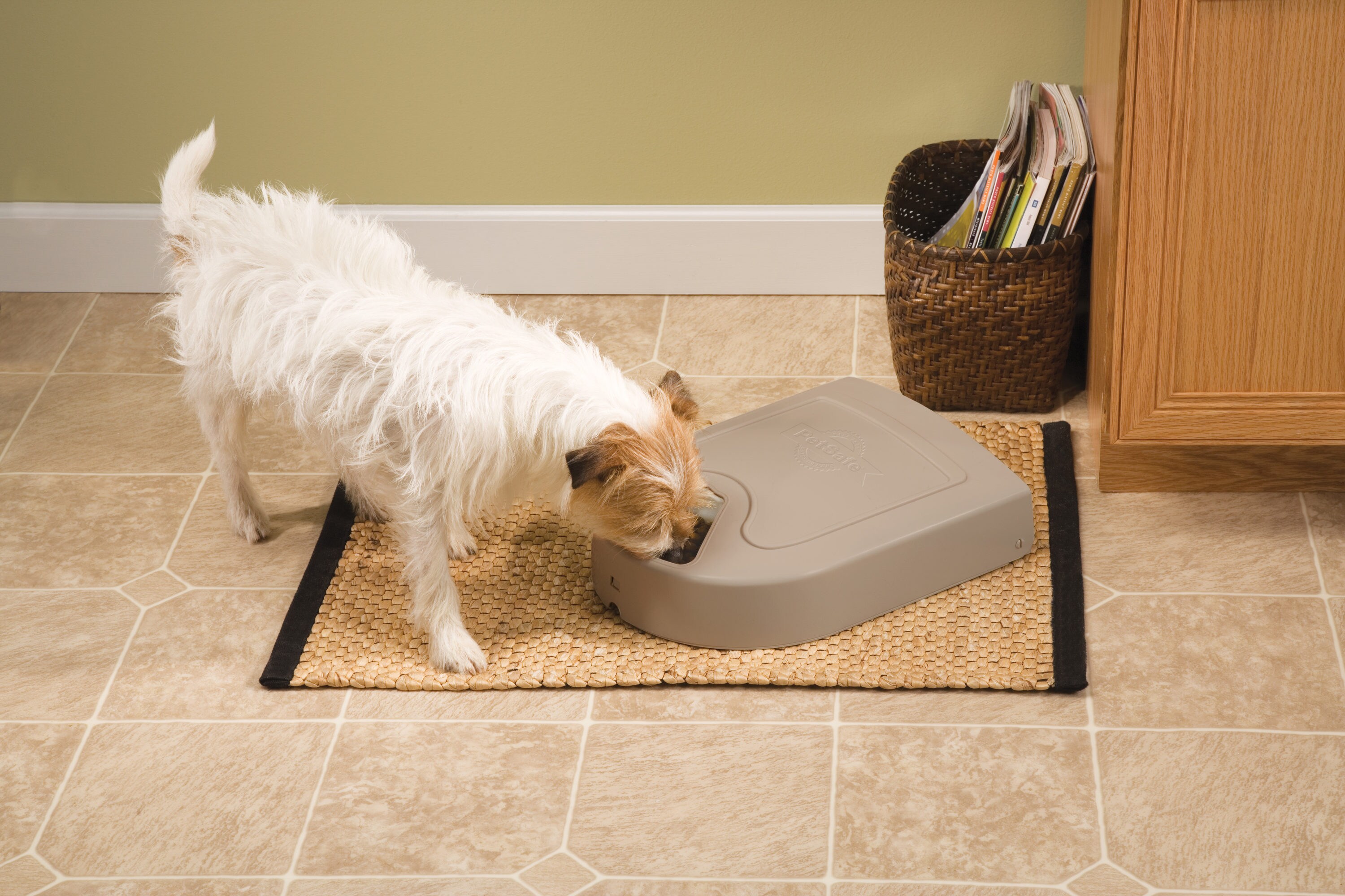 PetSafe PFD11-13707 Pet-Feeder - View #7