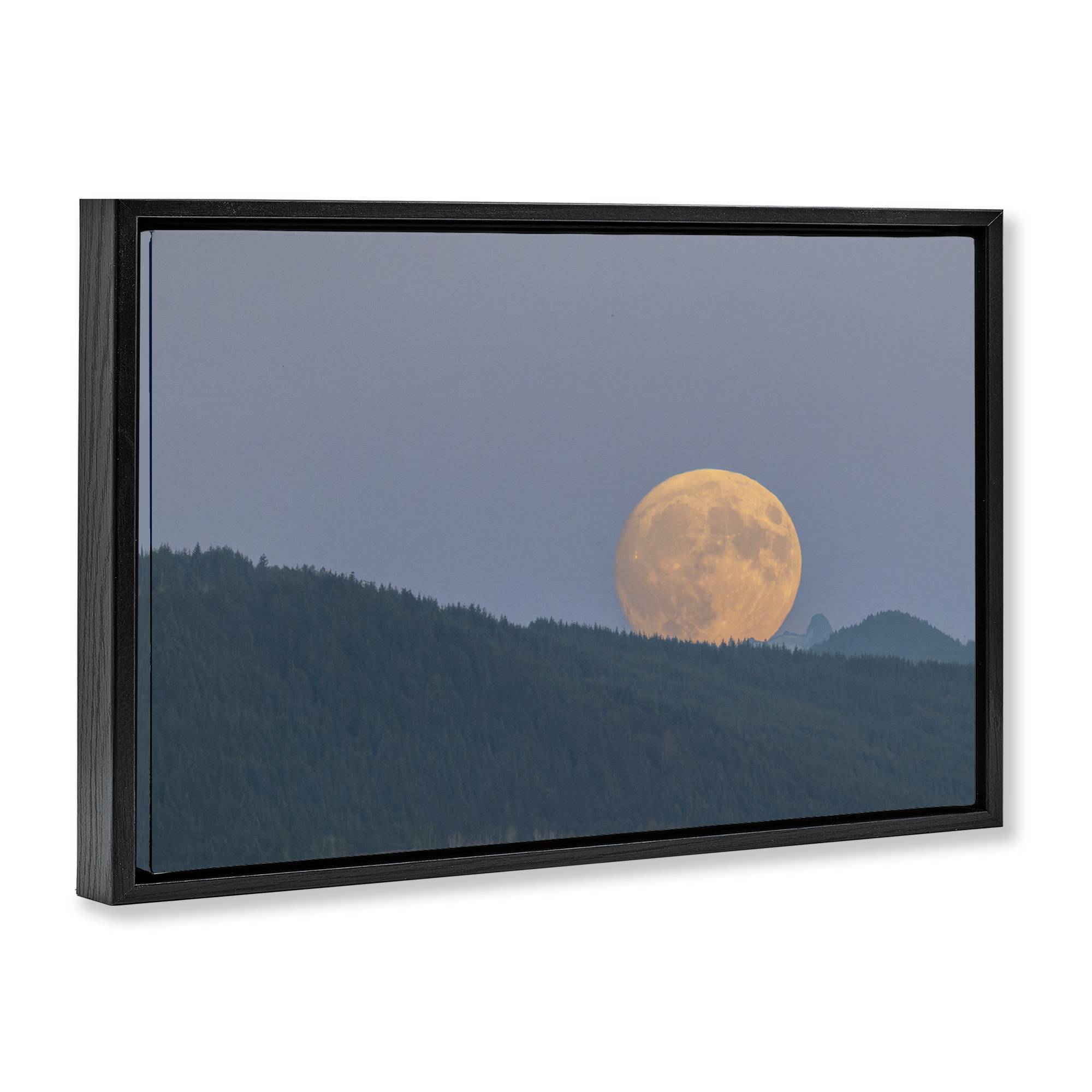 Stupell Industries BS-634-FFB-16X24 Wall-Art - View #2