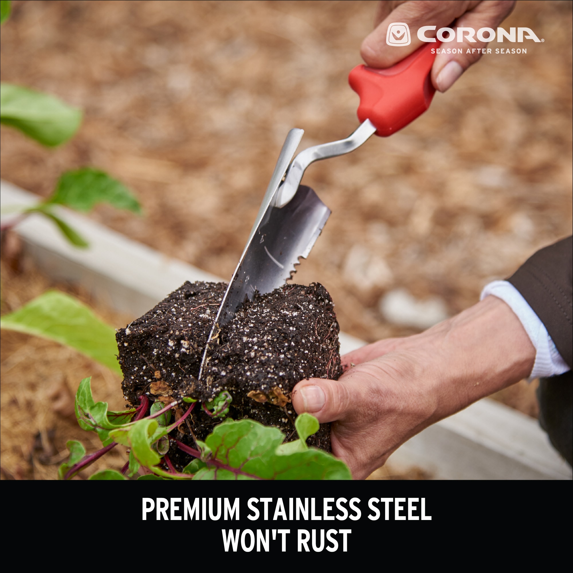 Corona 6-in Stainless Steel Hand Scoop in the Garden Hand Tools department  at