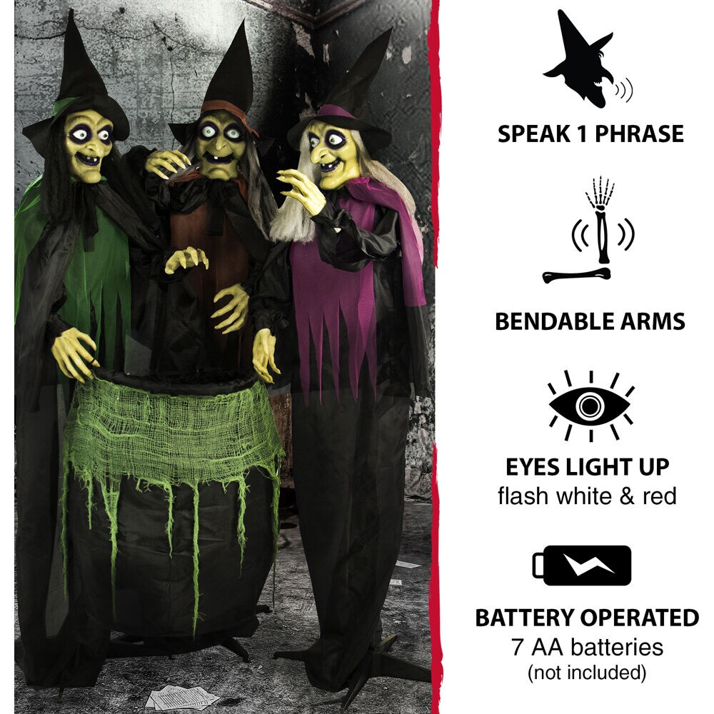 Haunted Hill Farm HHWITCH-15FLS Halloween-Animatronics - View #4