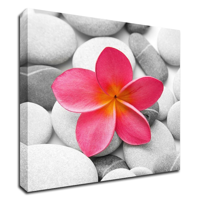 Tangletown Fine Art Frameless 14-in H x 14-in W Floral Canvas Print in ...
