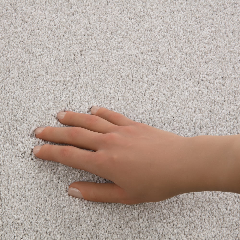 STAINMASTER PetProtect 7L96900530 Carpet-Panel - View #4