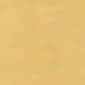 Brushed Gold