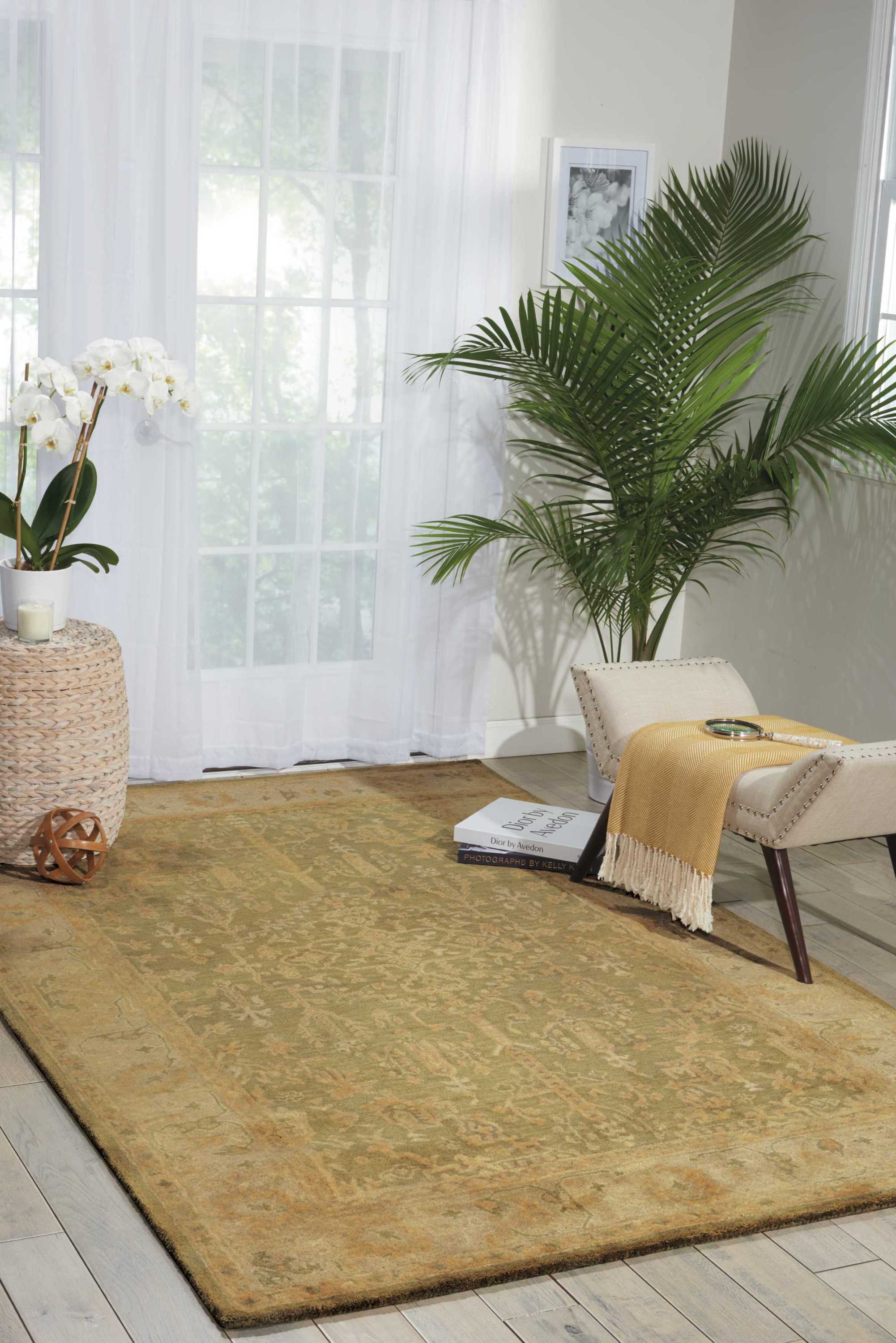 Nourison 11644 Jaipur 8 x 10 Wool Kiwi Indoor Abstract Area Rug