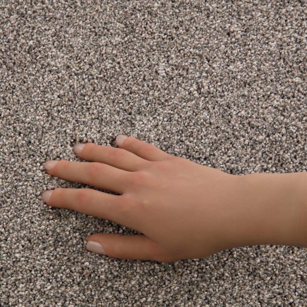 STAINMASTER 7L95800523 Carpet-Panel - View #4