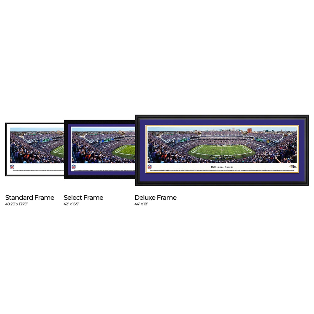 Blakeway Panoramas NFLRAV2D Wall-Art - View #3