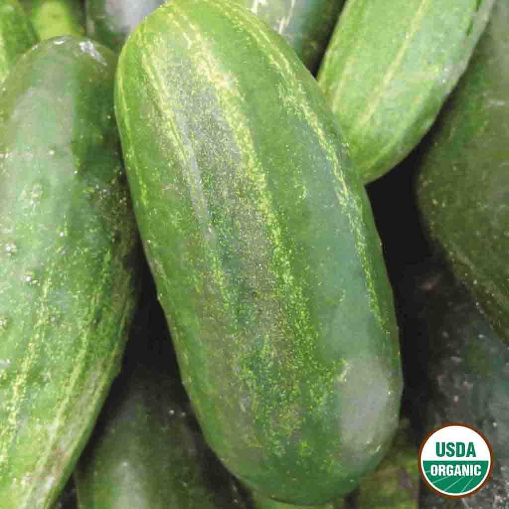 Ferry-Morse LC25.0907 Vegetable-Herb-Seeds - View #3