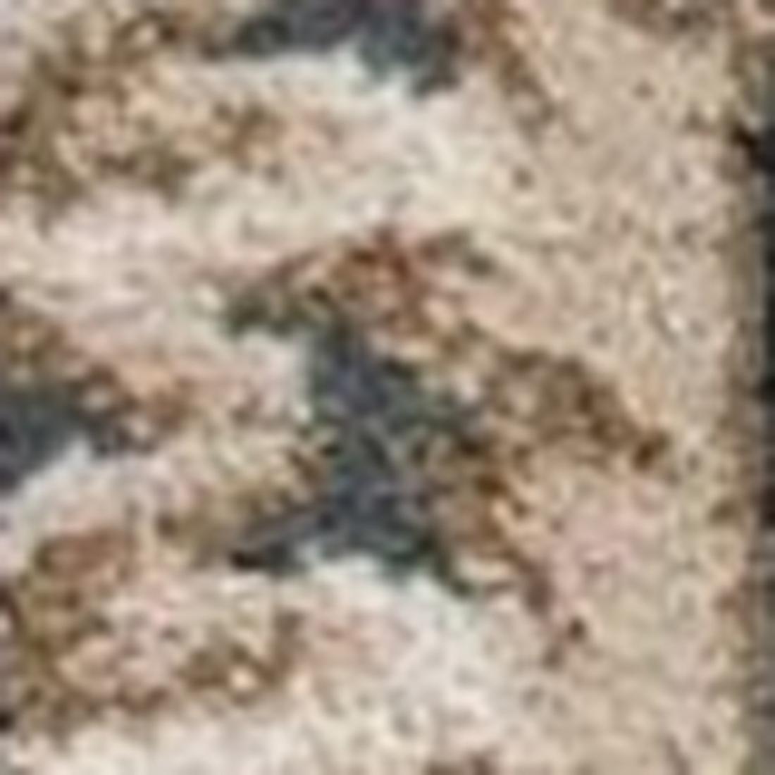 HomeRoots 353448 rugs - View #7