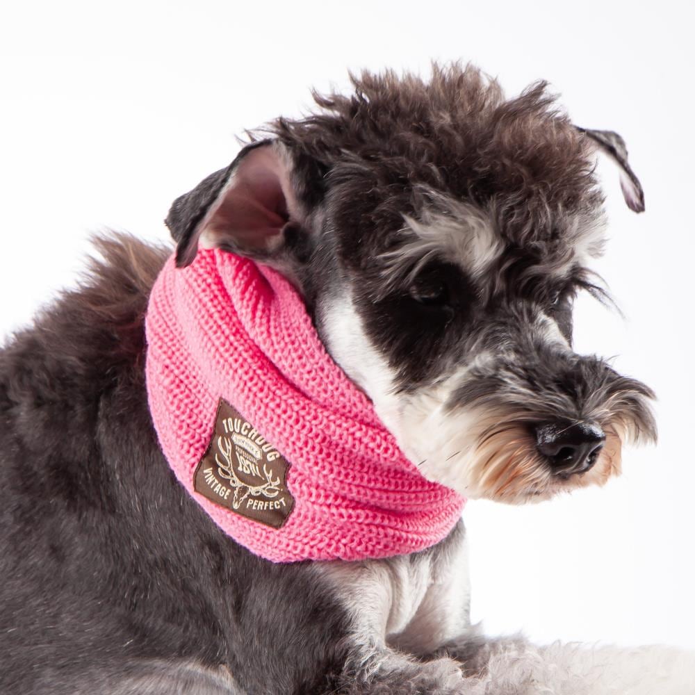 Pink dog hot sale scarf