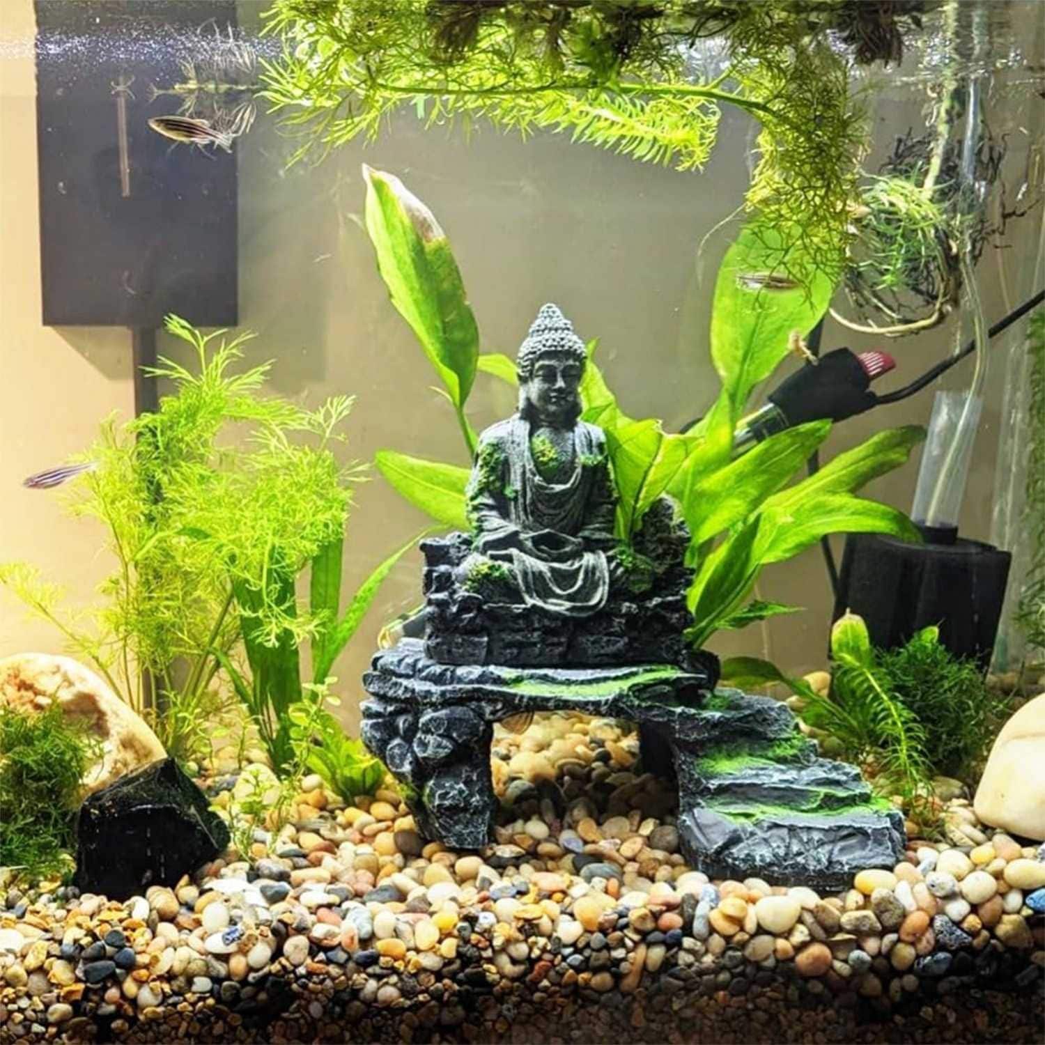 JUSHUA MT-X3ZUCY Landscaping-Rock - View #4