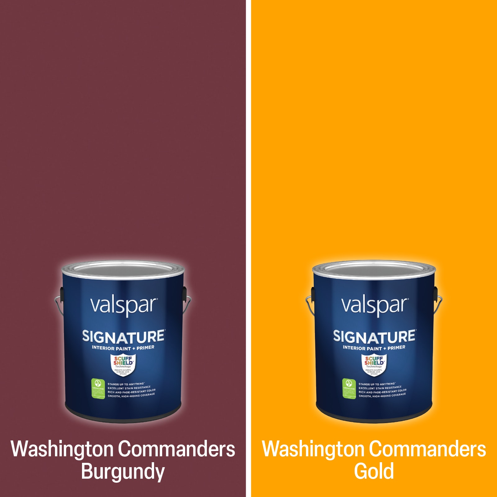 Shop Valspar Washington Football Team Paint Project Kit at