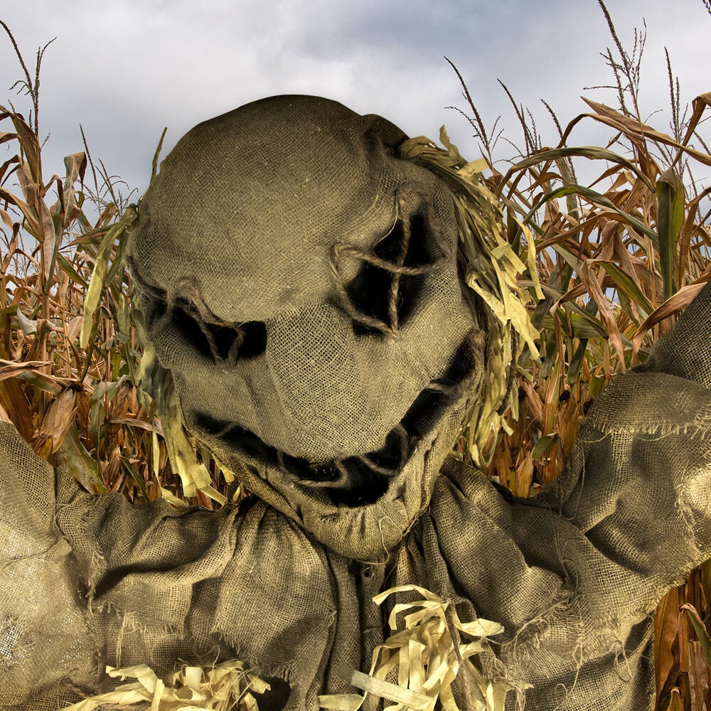 Haunted Hill Farm HHPUMP-3FLS Halloween-Animatronics - View #10