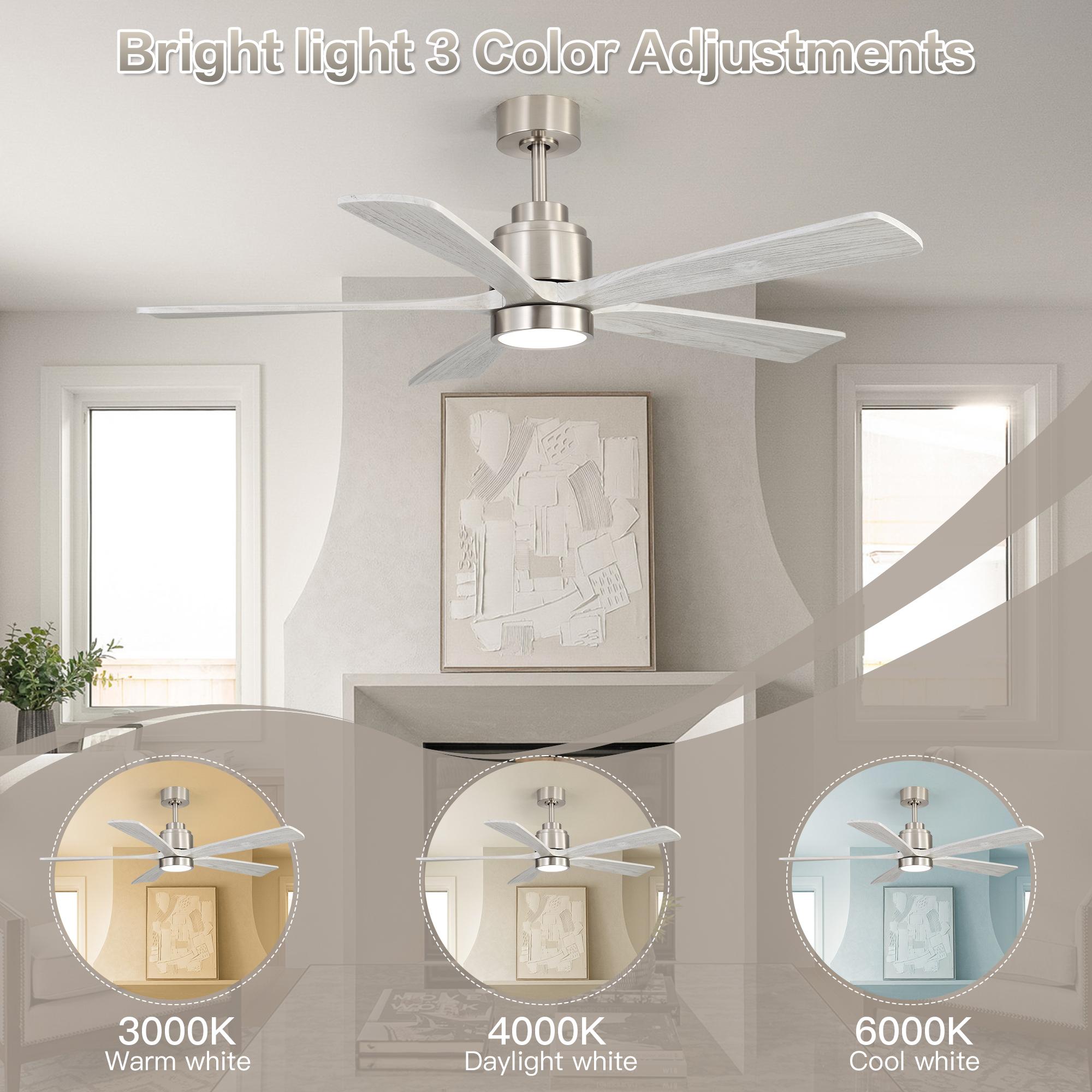 Bayfeve BF-414051-MP Ceiling-Fans - View #4