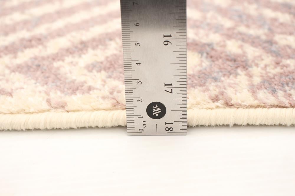 ECARPETGALLERY 315495 rugs - View #6