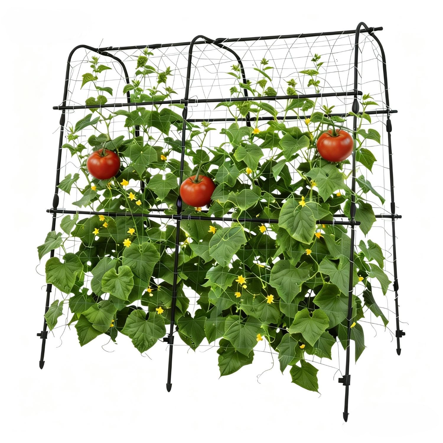DEXSO 5.3x5.3FT Black Rust-Resistant Metal Arch Trellis for Raised Beds Vertical Plant Support