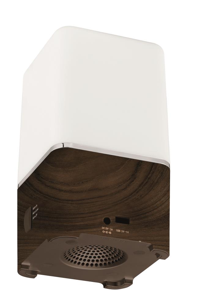 Citizen CC1038 Indoor-Outdoor-Clocks - View #4