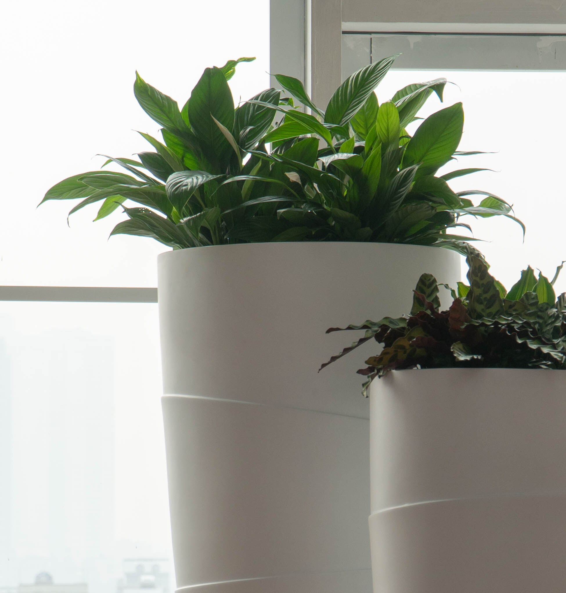 Vasesource CATENA40WH Planter-Window-Box - View #9