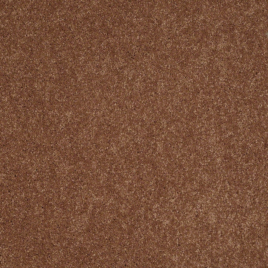 STAINMASTER S663014MESA SUN-NSET (Sample) Active Family Supreme Delight I Mesa Sunset Textured Carpet