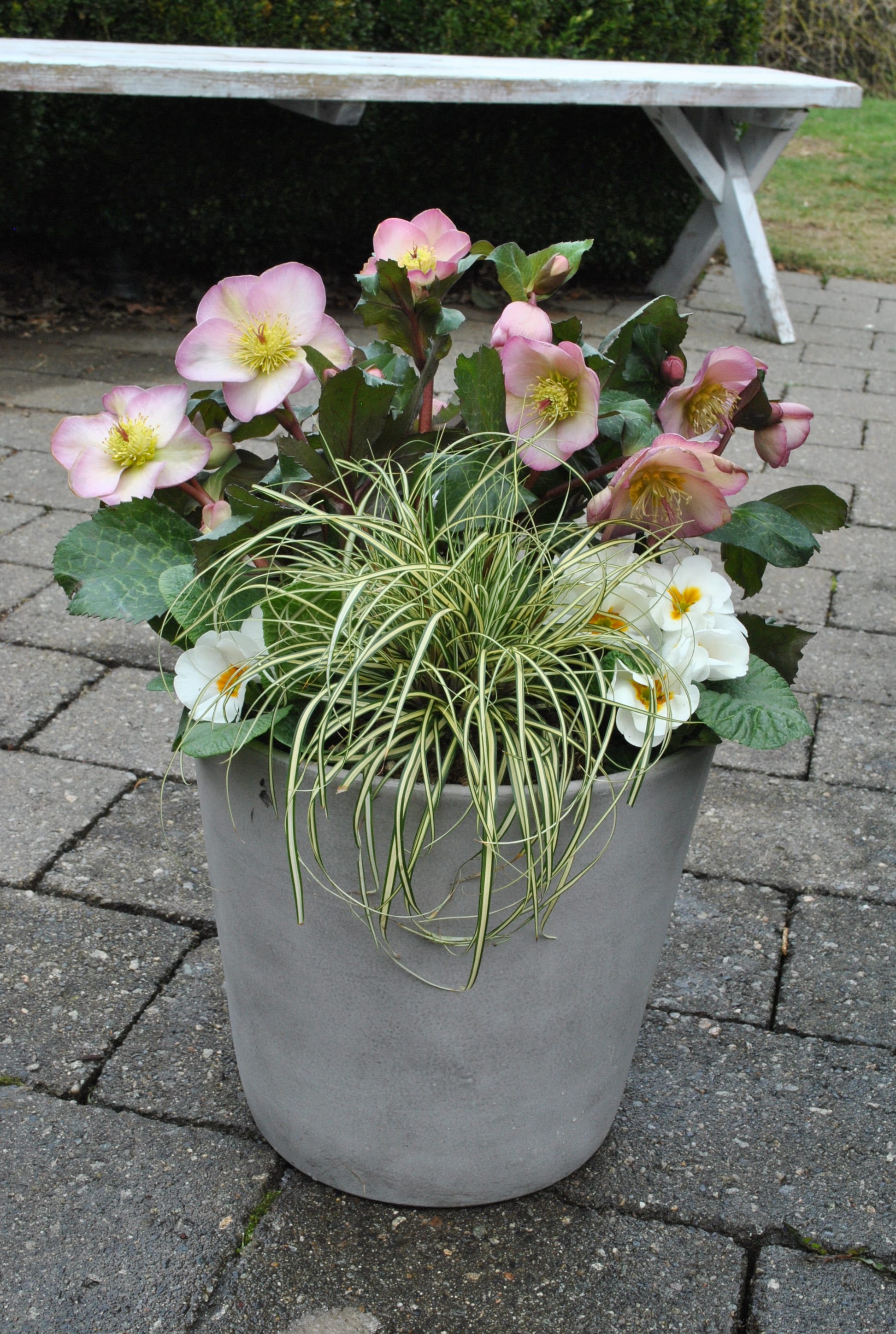 1028 perennials - View #4