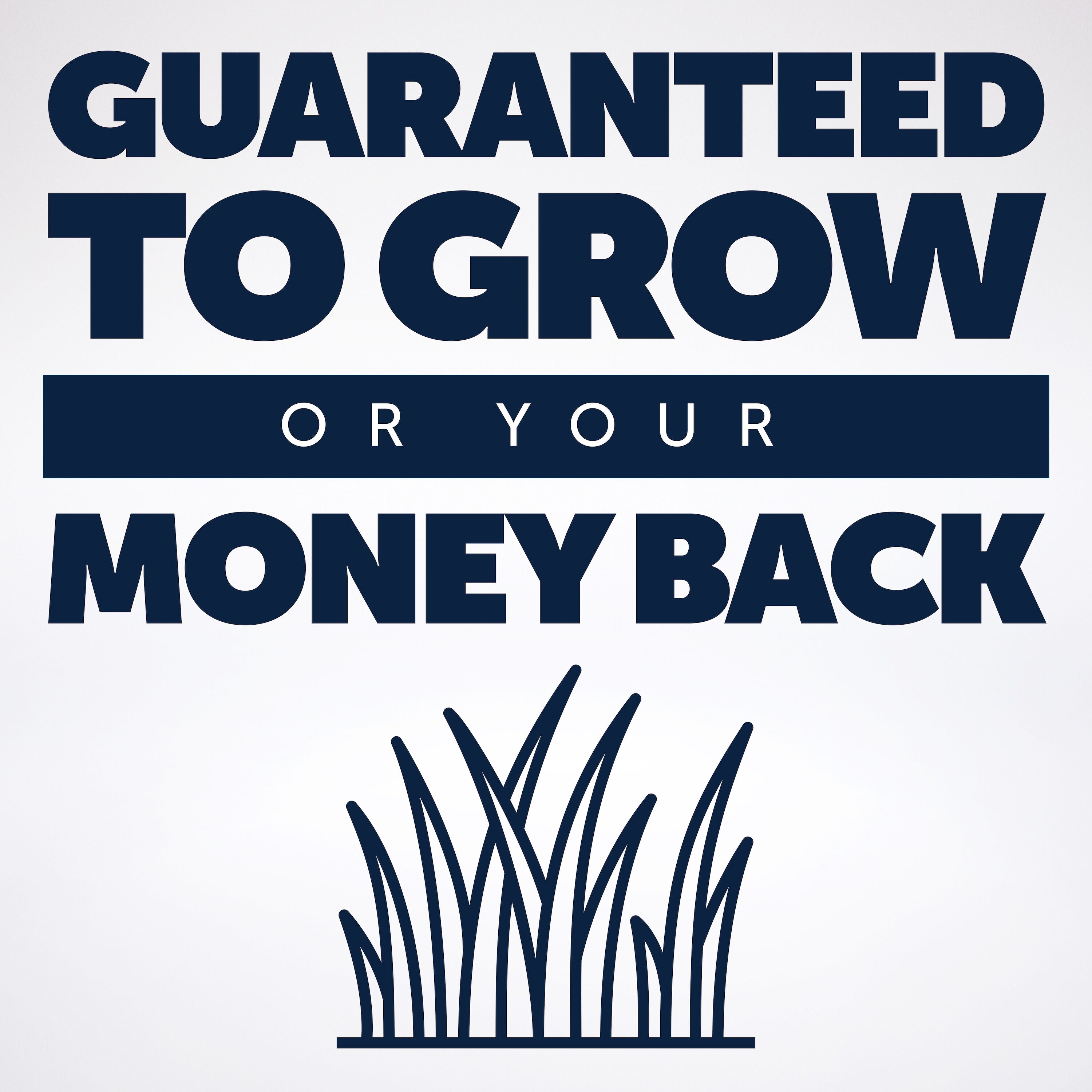 Pennington 2149602254 Grass-Seed - View #4