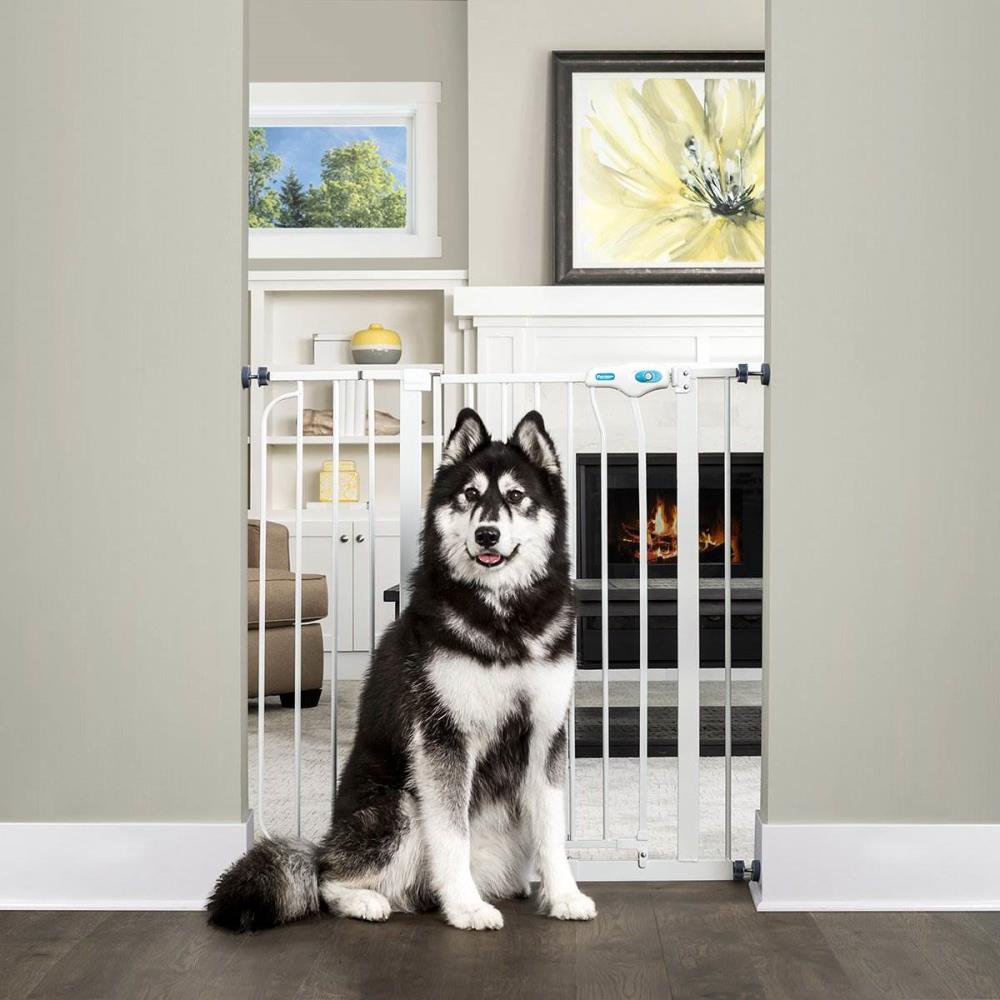 Carlson Pet Products 110054 Pet-Gates - View #3