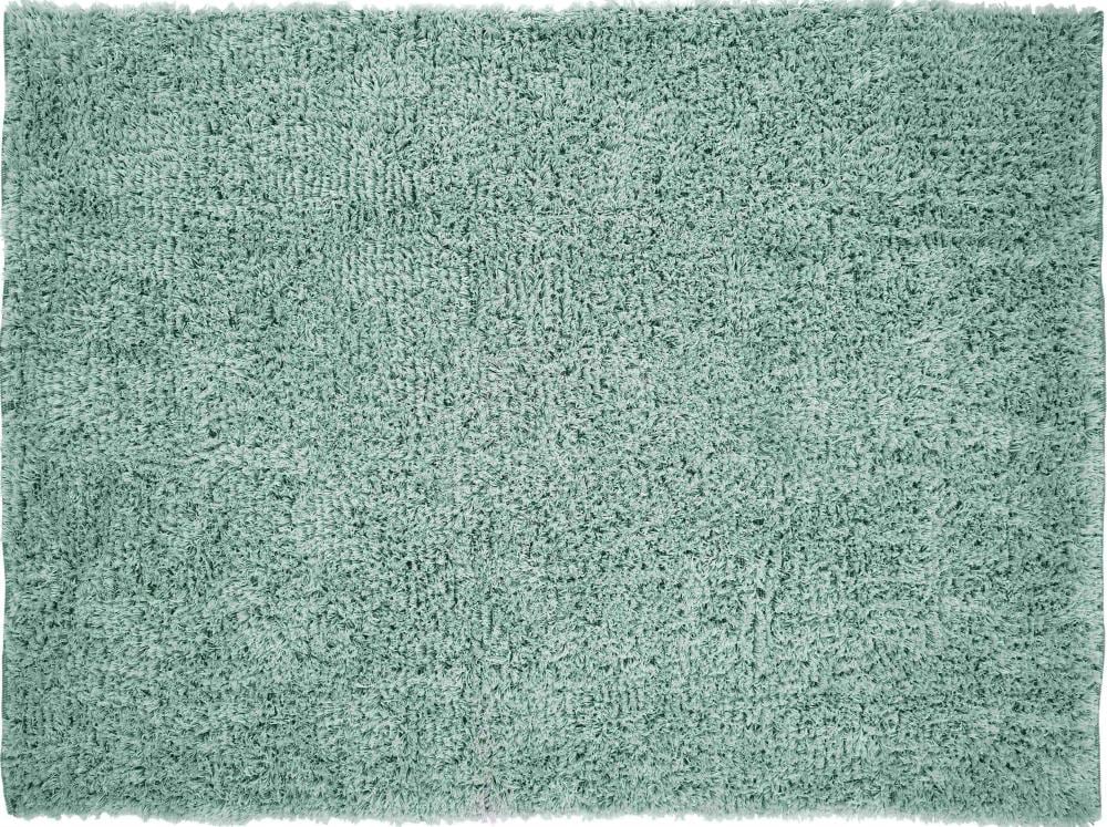 Chesapeake Merchandising 79206 Microfiber Shag Rug 5 x 7 (ft) Tufted Polyester Aqua Rectangular Indoor Solid Area rug