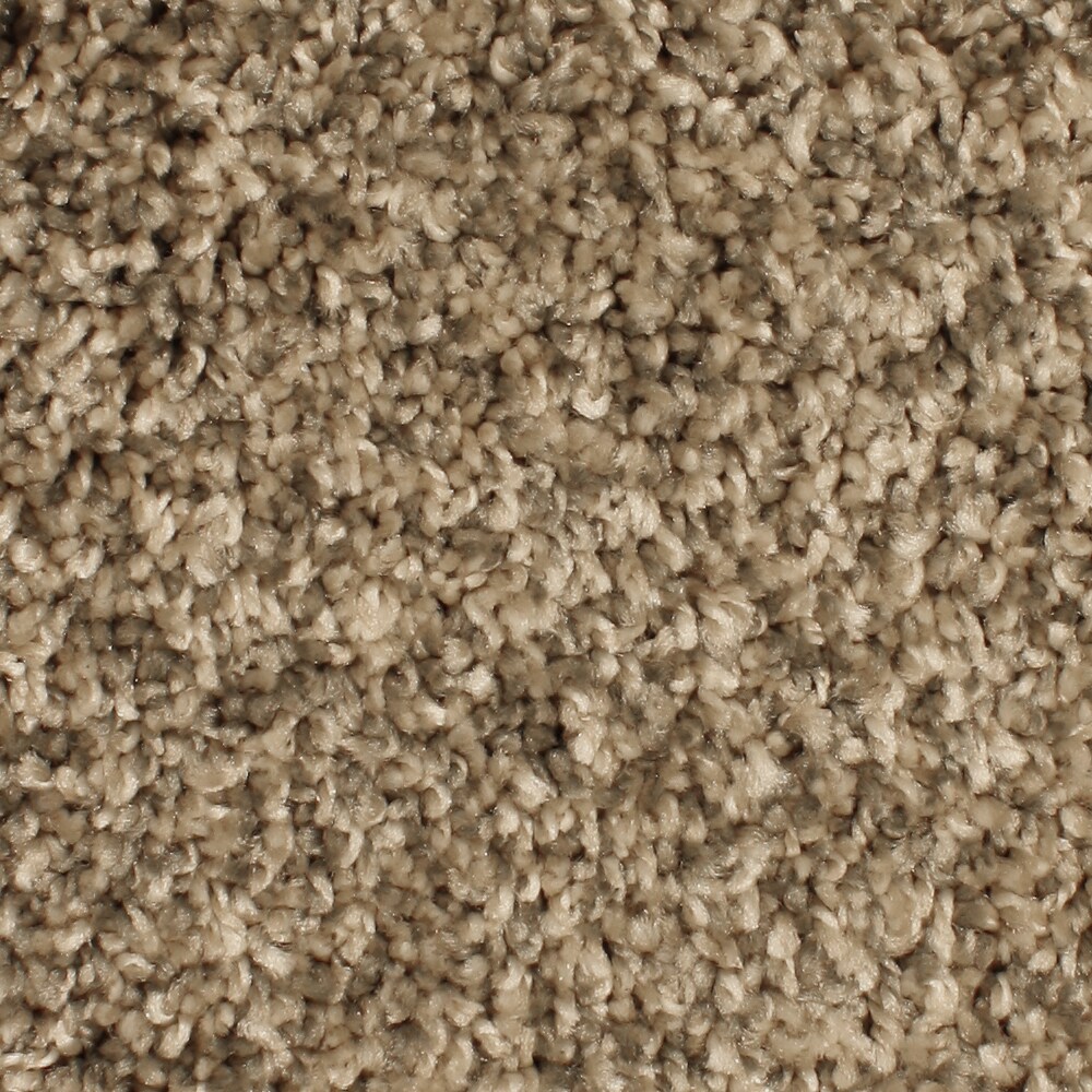 STAINMASTER S7045-2-S (Sample) Mill Cove-Mile tone Brown 45-oz sq yard Polyester Textured Indoor Carpet