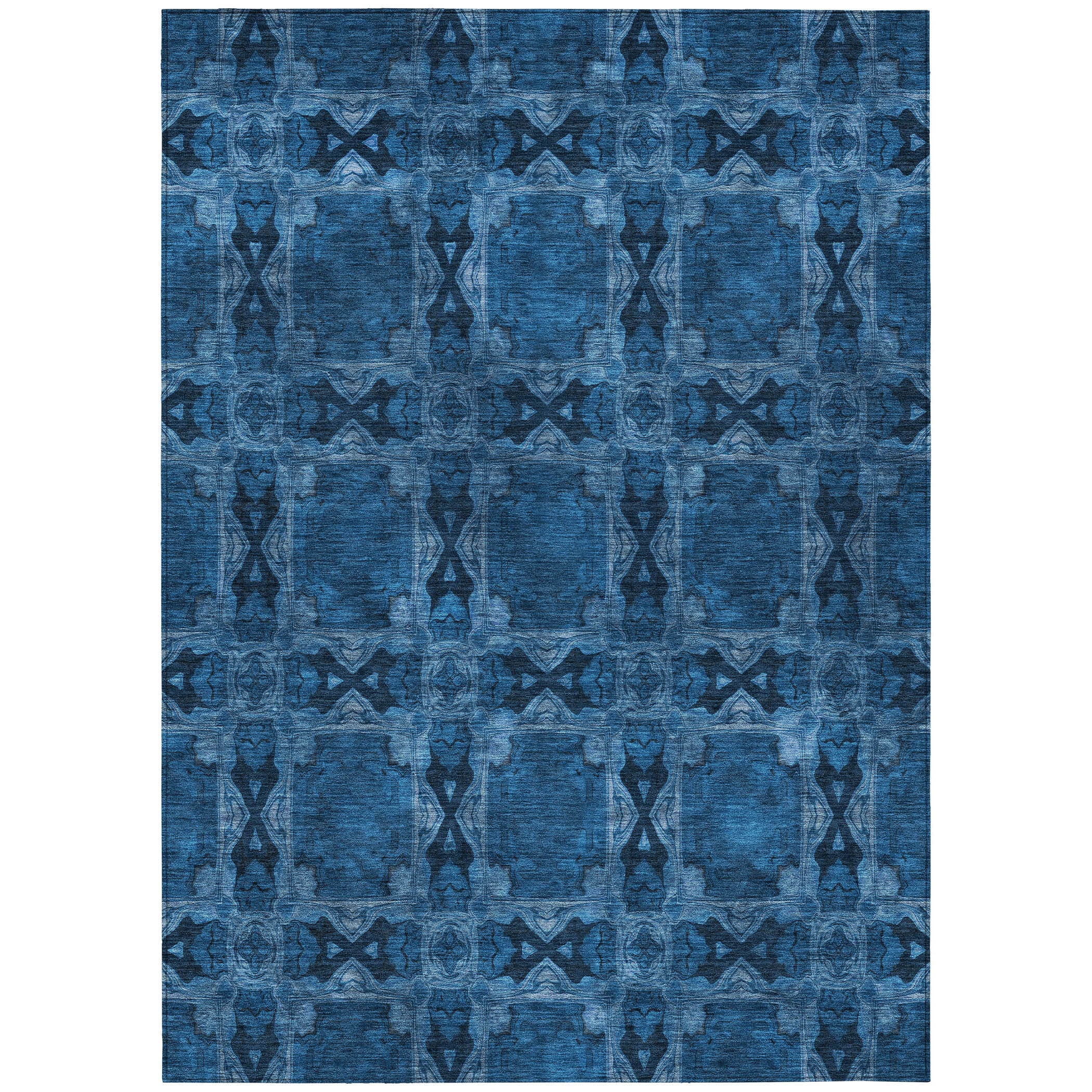 Addison Rugs ACN564NA30X46 rugs - View #2