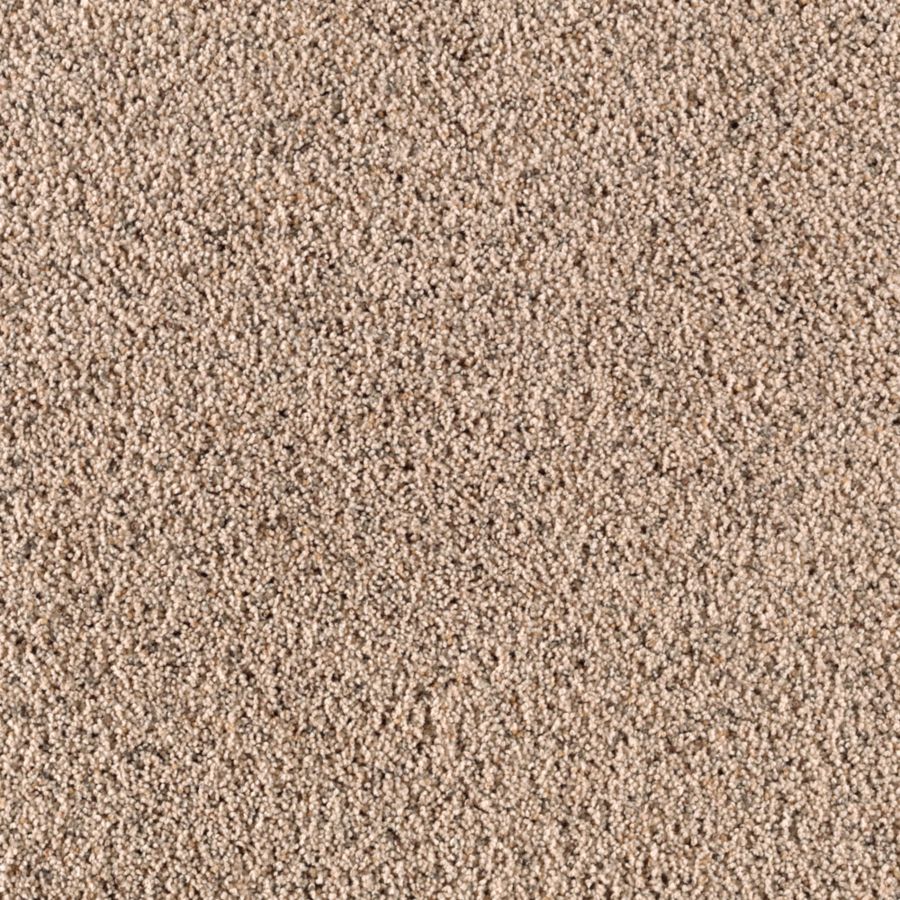 STAINMASTER S622587COASTAL-E II (Sample) Essentials Renewed Style II Coastal Shag/Frieze Carpet