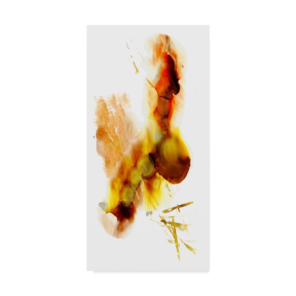 Trademark Fine Art MA00965-C1632GG Framed 32-in H x 16-in W Abstract Print on Canvas