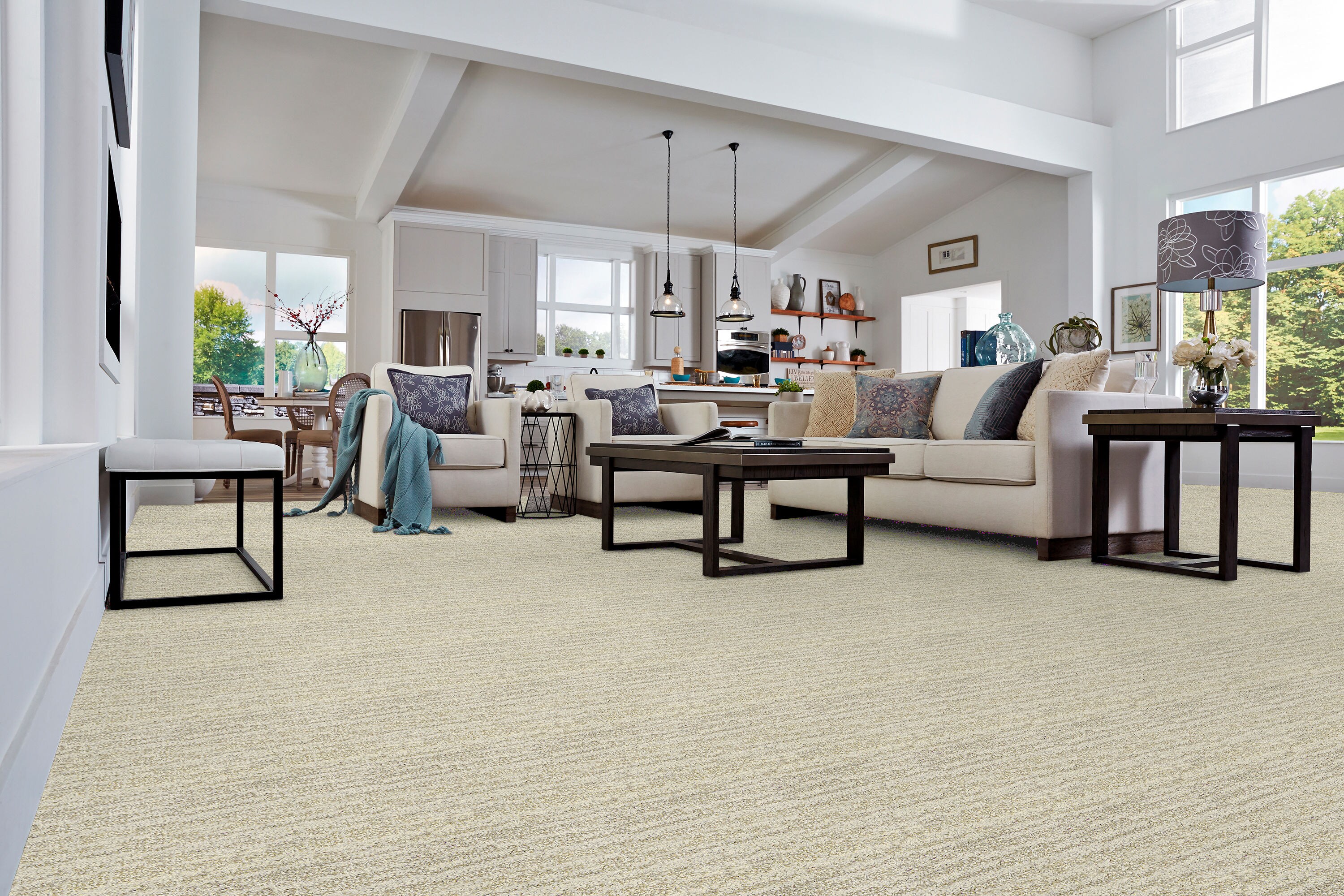 STAINMASTER 8811-107S Carpet-Samples - View #2