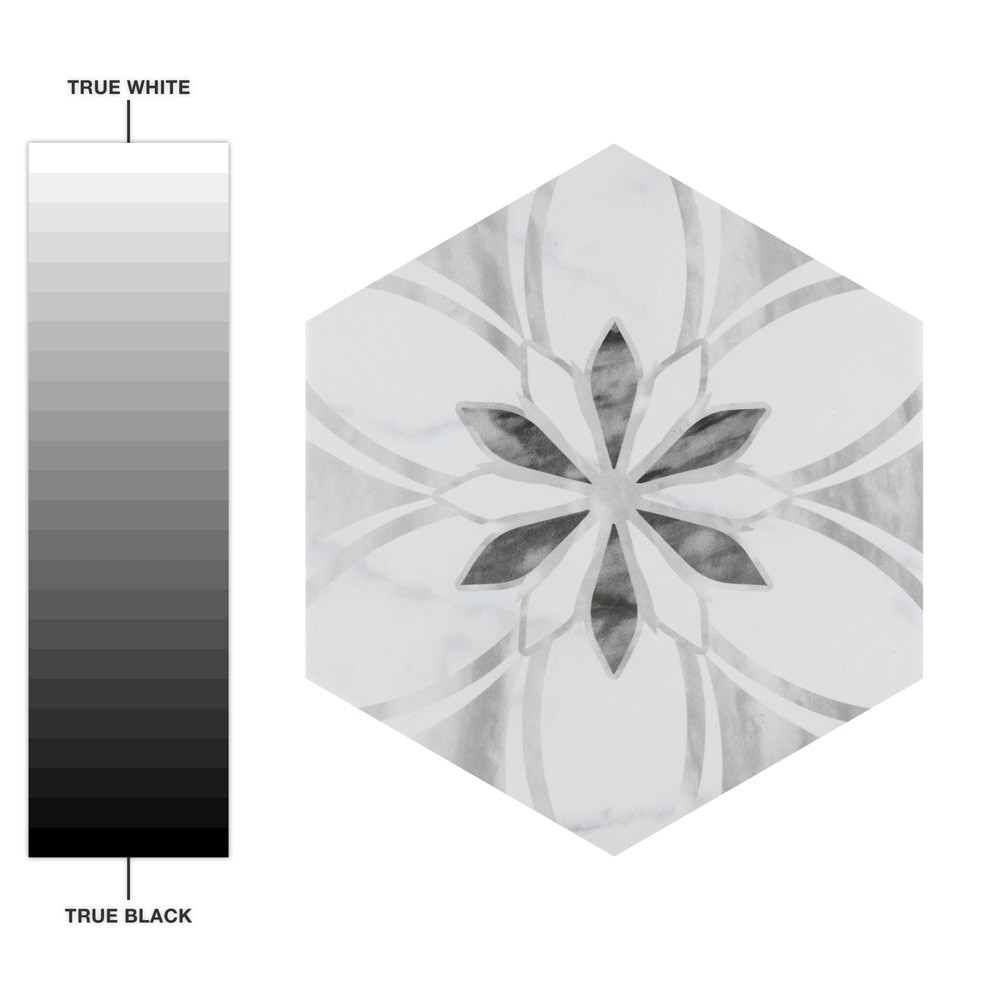 Affinity Tile FEQ8BXFDL Ceramic-Tile - View #8