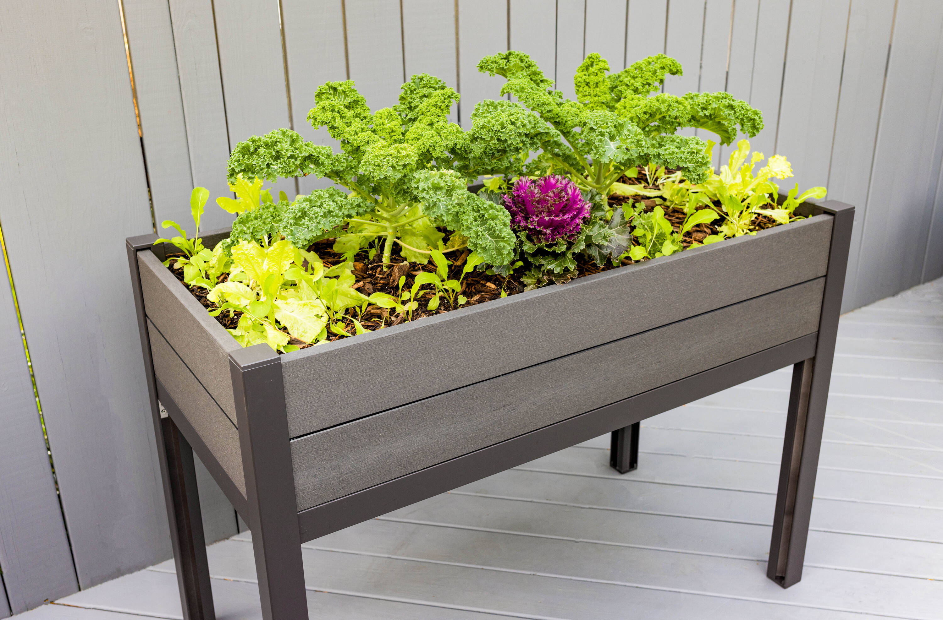 Frame It All 24 In W X 48 In L X 345 In H Gray Composite Raised Garden Bed In The Raised Garden