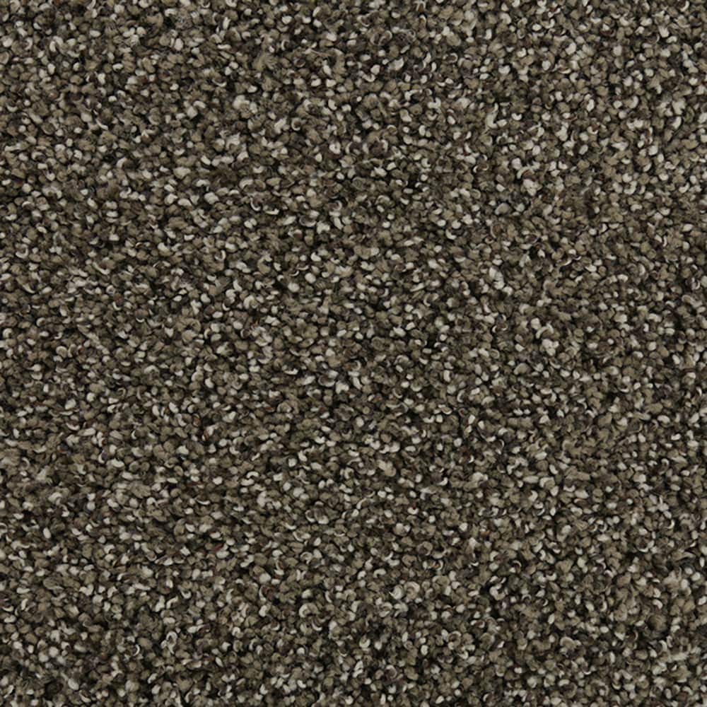 STAINMASTER STP61-12-L006 Tranquil Walk I Meander Brown 42-oz sq yard Triexta Textured Indoor Carpet