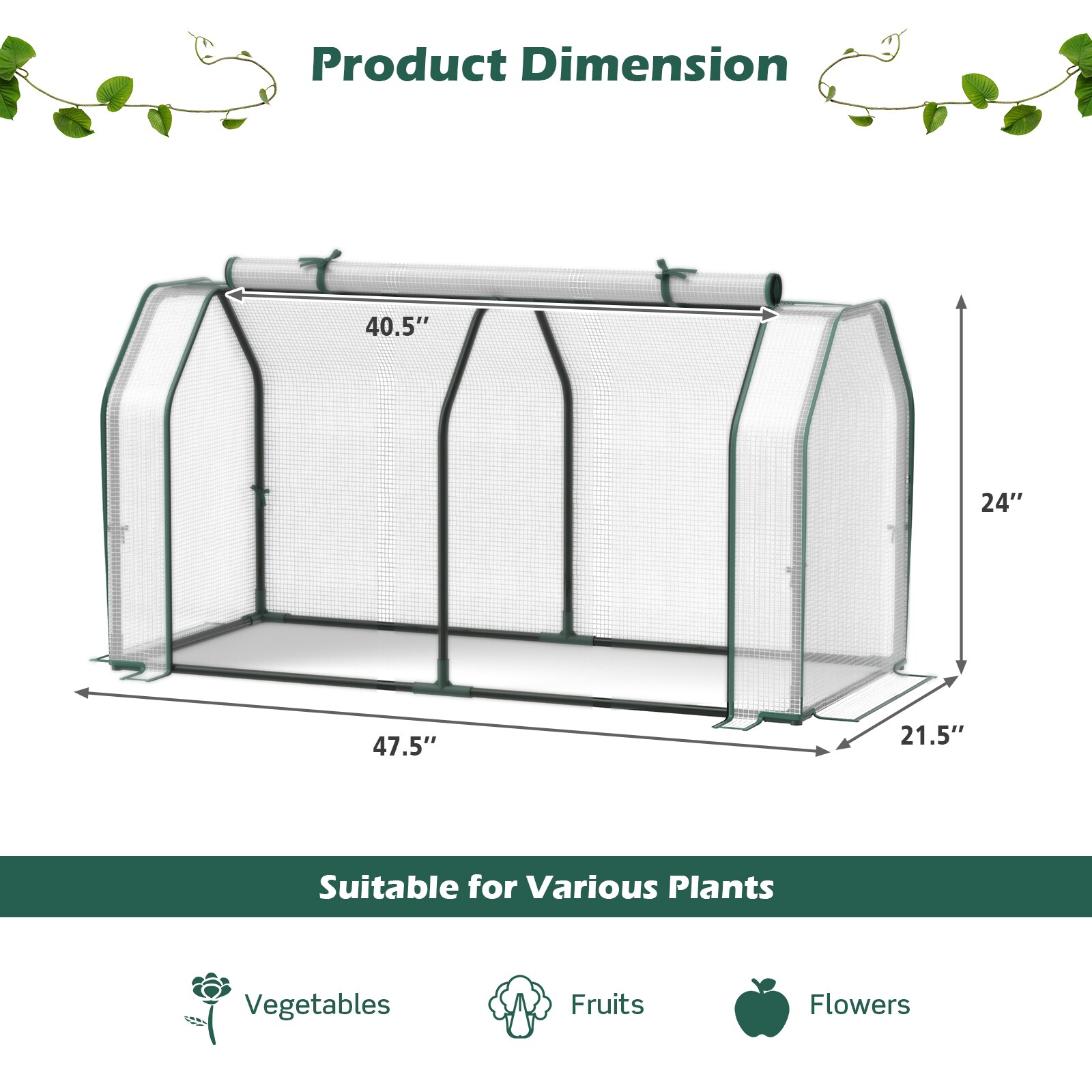 Slickblue D-CO-2693TG greenhouses - View #3