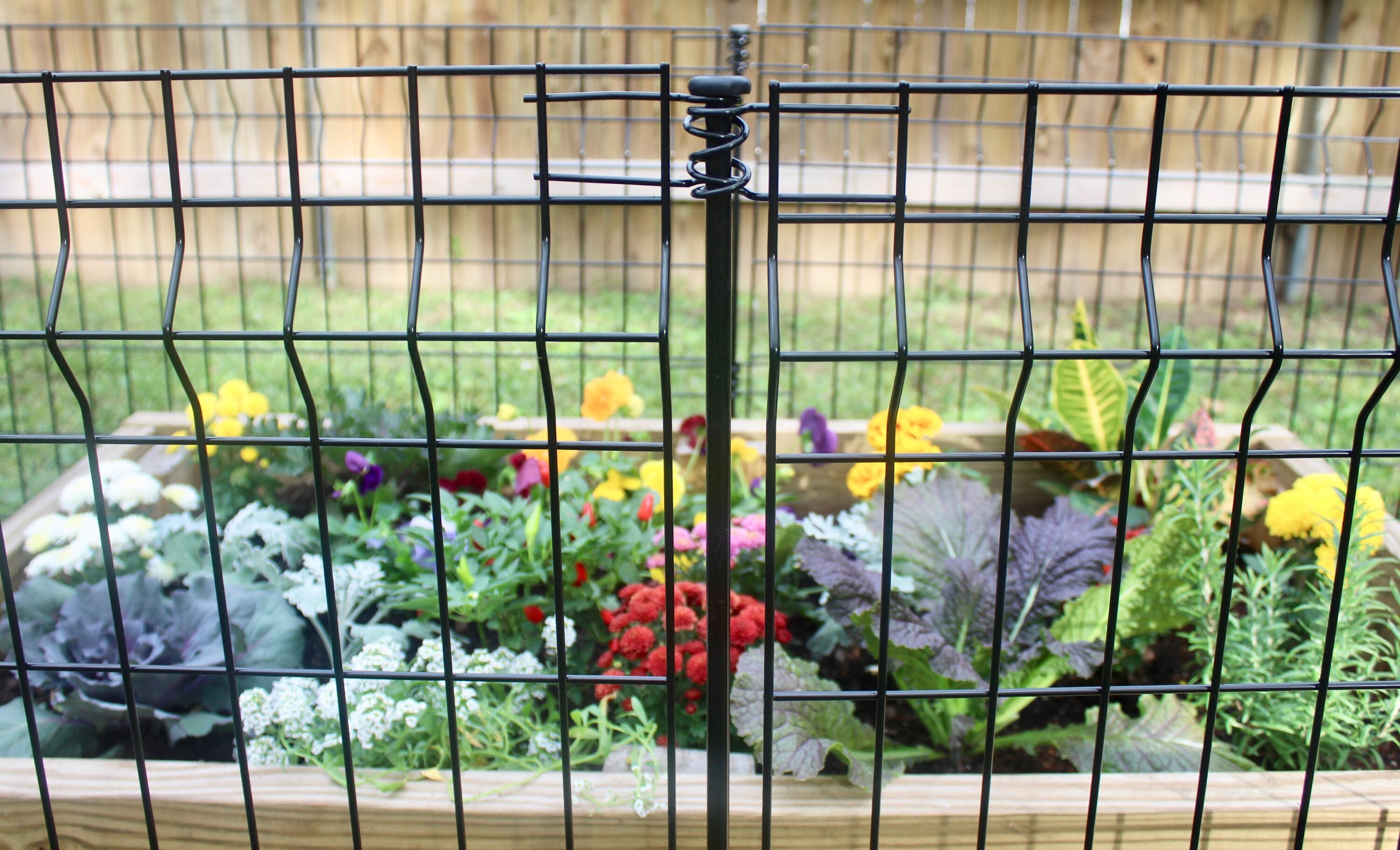 YARDLINK 3-ft H x 1-1/2-in W Powder-coated Galvanized Steel Decorative Metal No Dig Garden Fence Post