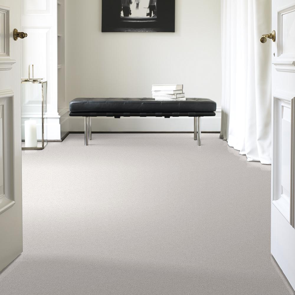 STAINMASTER 7L61300101  - View #2