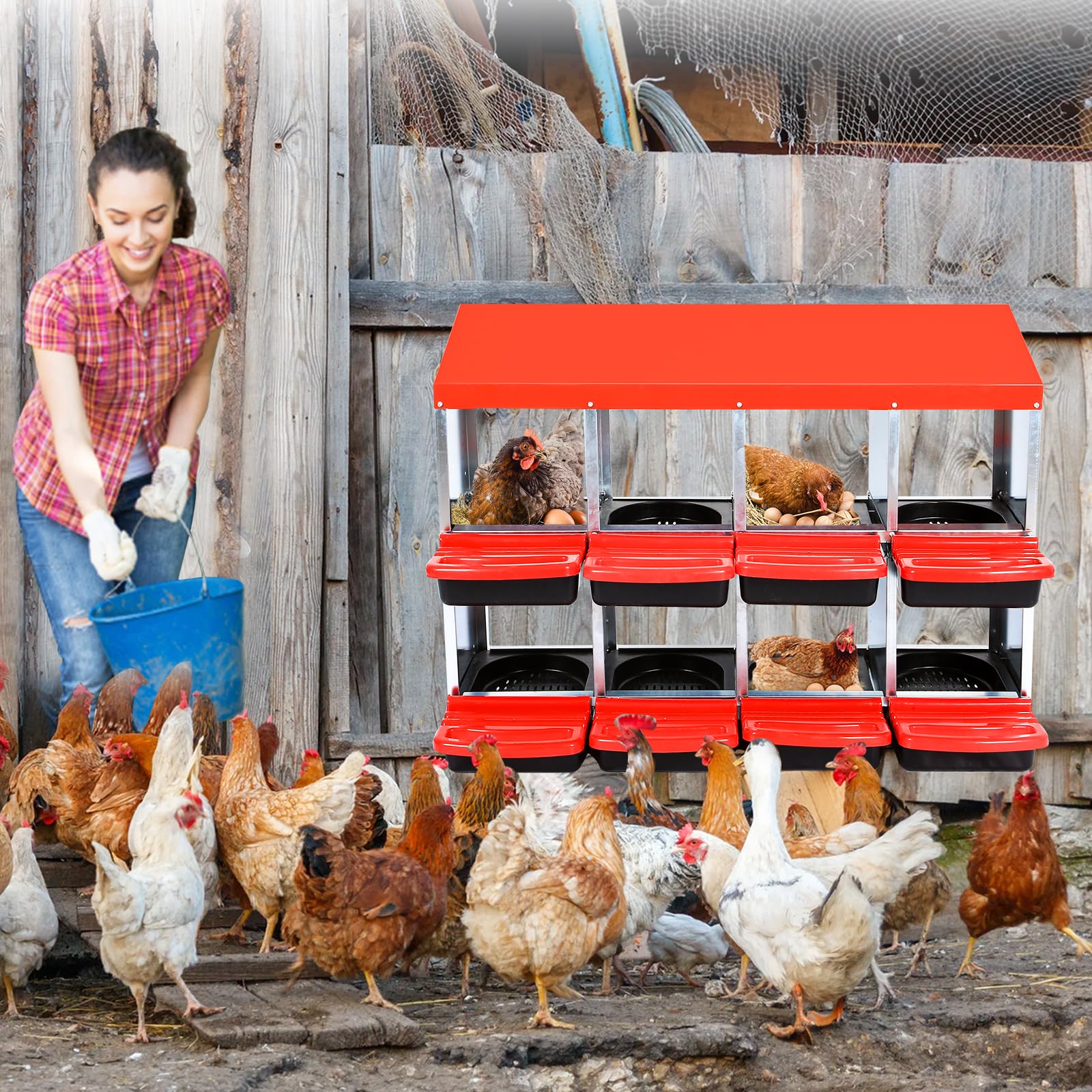 DEXSO NOVA-FEQ5182F7M Chicken-Coops-Rabbit-Hutches - View #4