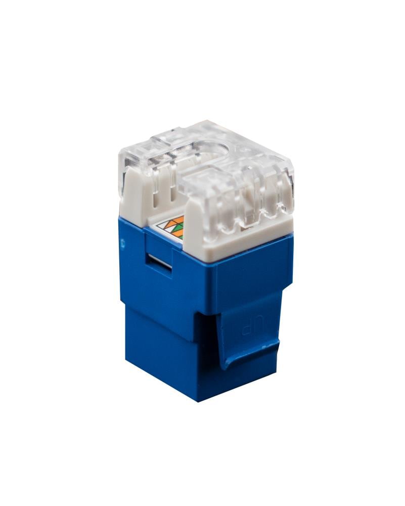 Legrand Plastic Cat6 Ethernet Wall Jack Wp3460-be-v1 At Lowes.com