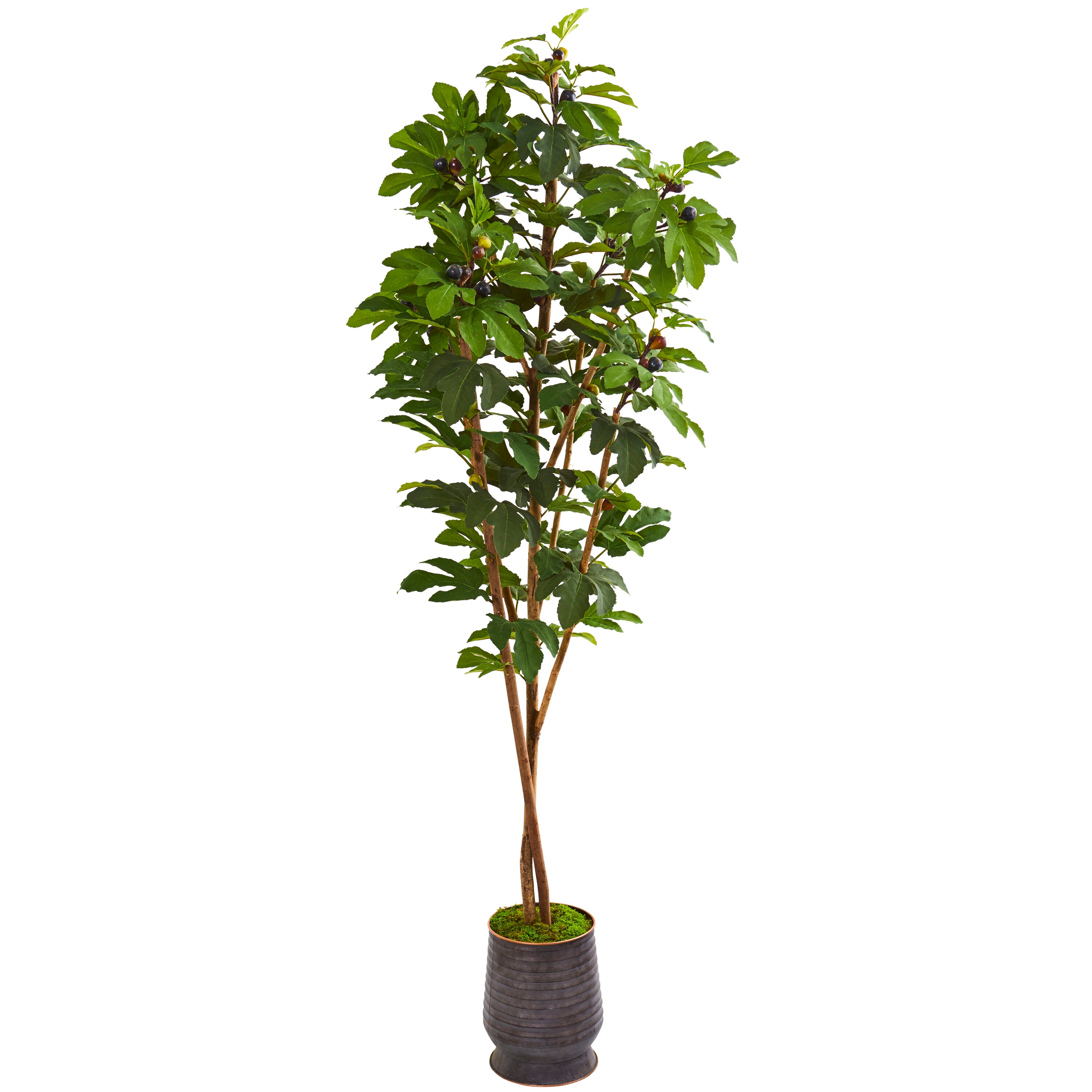  88-in Fig Artificial Tree in Ribbed Metal Planter