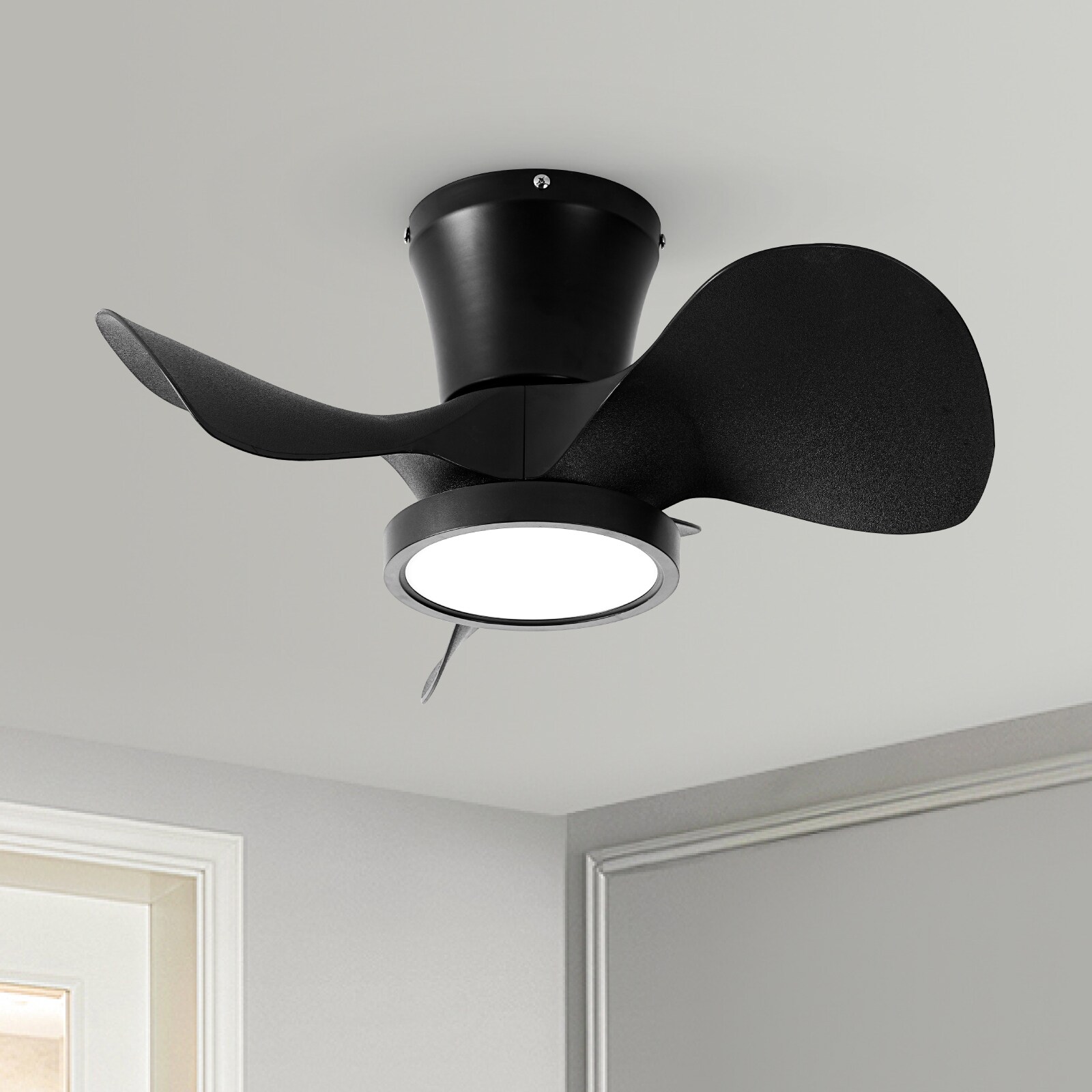 TALOYA TLY-F0-BK-X22 Ceiling-Fans - View #6