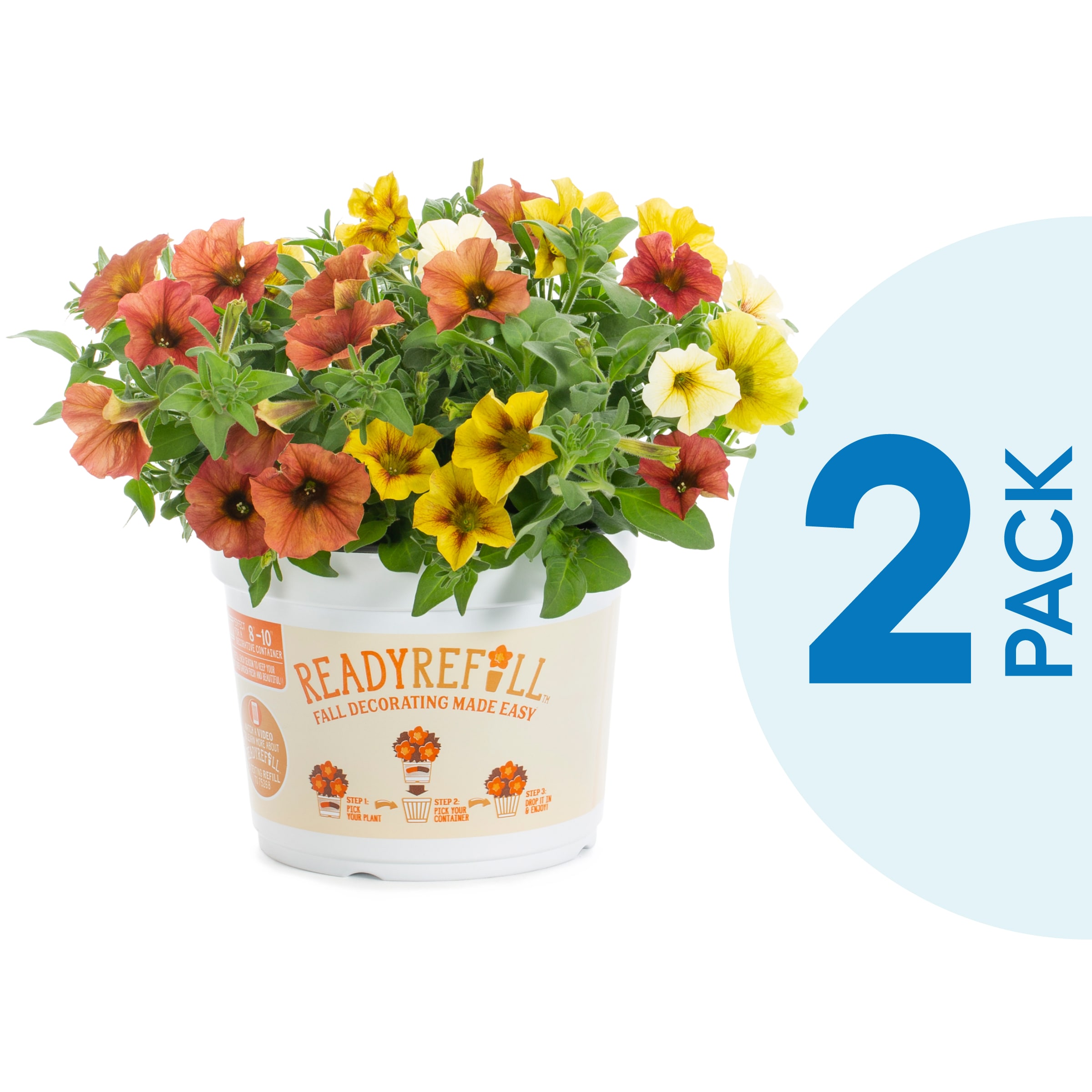 Ready Refill 4348 annuals - View #5