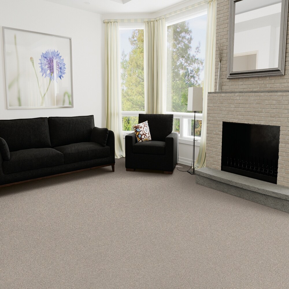 STAINMASTER L5018-1801-1200-AB Carpet-Panel - View #2
